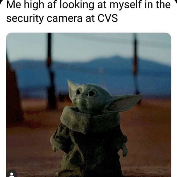 Meet your Posher, Jamie - Picture 1 of 1